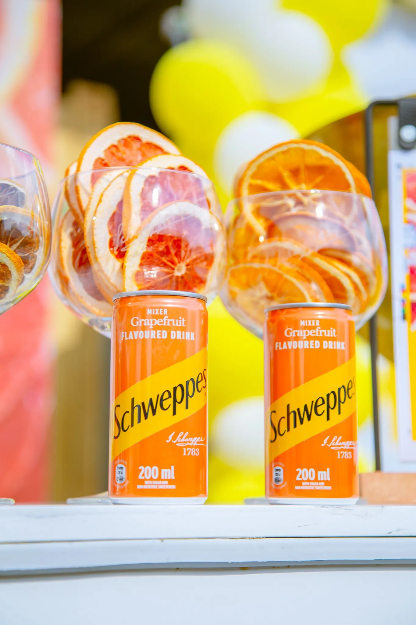 Promotional Portraits